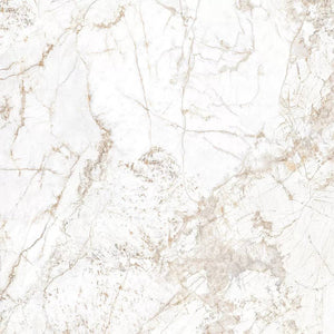Gem Howlite Italian Porcelain - Stone and Tile Projects