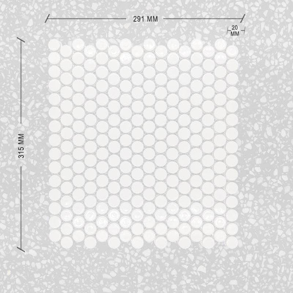 White Gloss Penny Round Mosaic 20 Dia + DIM