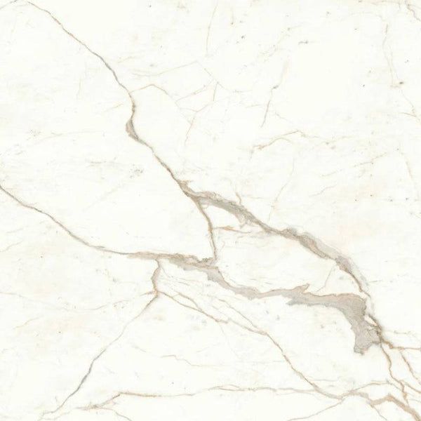 Calacatta Delicato Italian Porcelain - Stone and Tile Projects