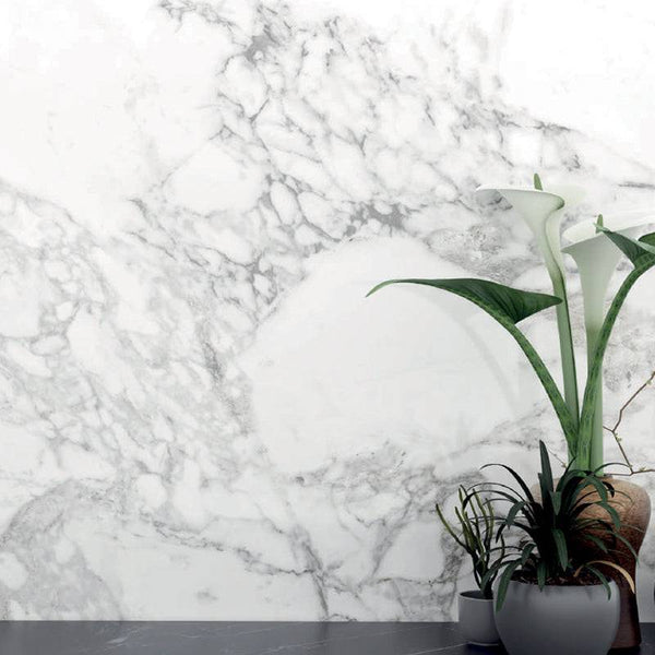 Catania Arebescato Italian Porcelain - Stone and Tile Projects