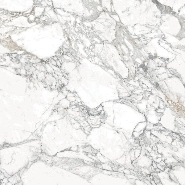 Catania Arebescato Italian Porcelain - Stone and Tile Projects