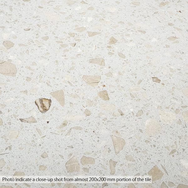 Champagne Pearl Terrazzo STP 47