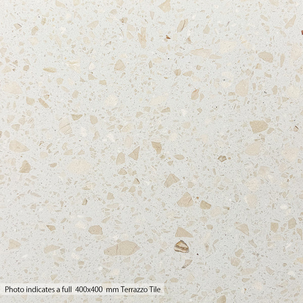 Champagne Pearl Terrazzo STP 47