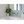 Cleo Linear Decor Ceramic