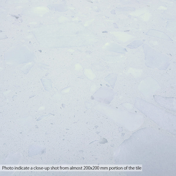 Coarse Grain White Terrazzo STP-04