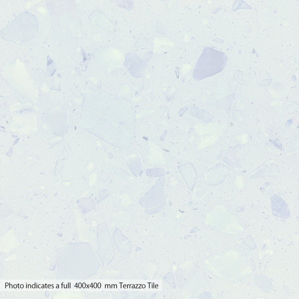 Coarse Grain White Terrazzo STP-04
