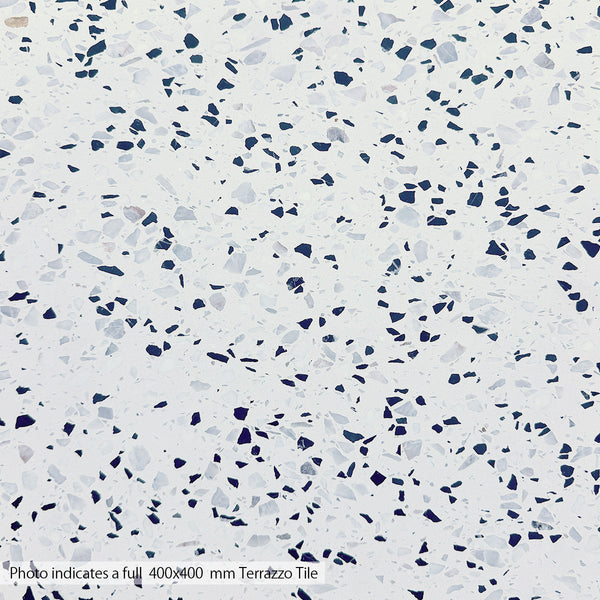 Snow Salt Pepper Terrazzo STP-19