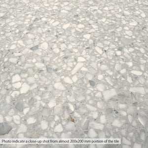 Light Grey Terrazzo STP-22004 - Stone and Tile Projects 
