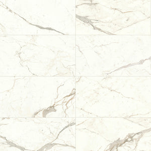 Calacatta Delicato Italian Porcelain