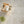 Crema Lantana Terrazzo STP 43