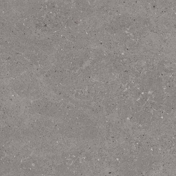 Limestone Dark Grey Porcelain