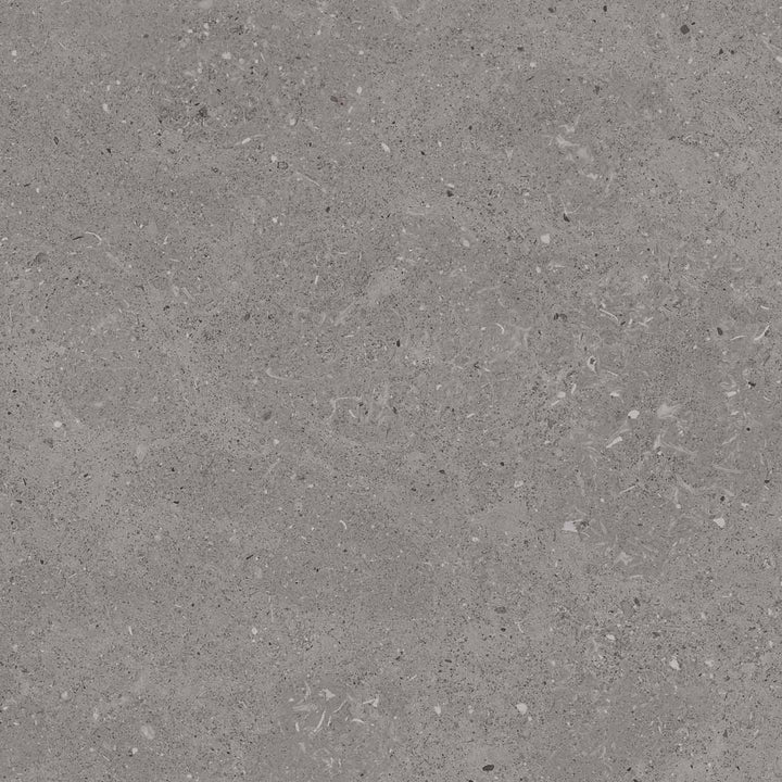 Limestone Dark Grey Porcelain