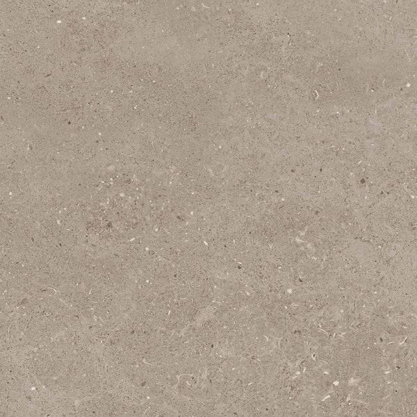 Limestone Taupe Porcelain