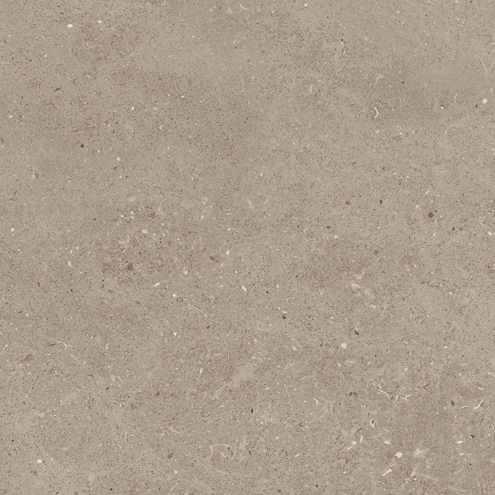 Limestone Taupe Porcelain