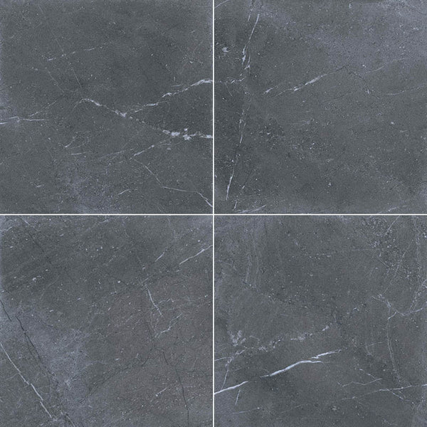 Pietra Grey 20 MM Porcelain Paver Variation