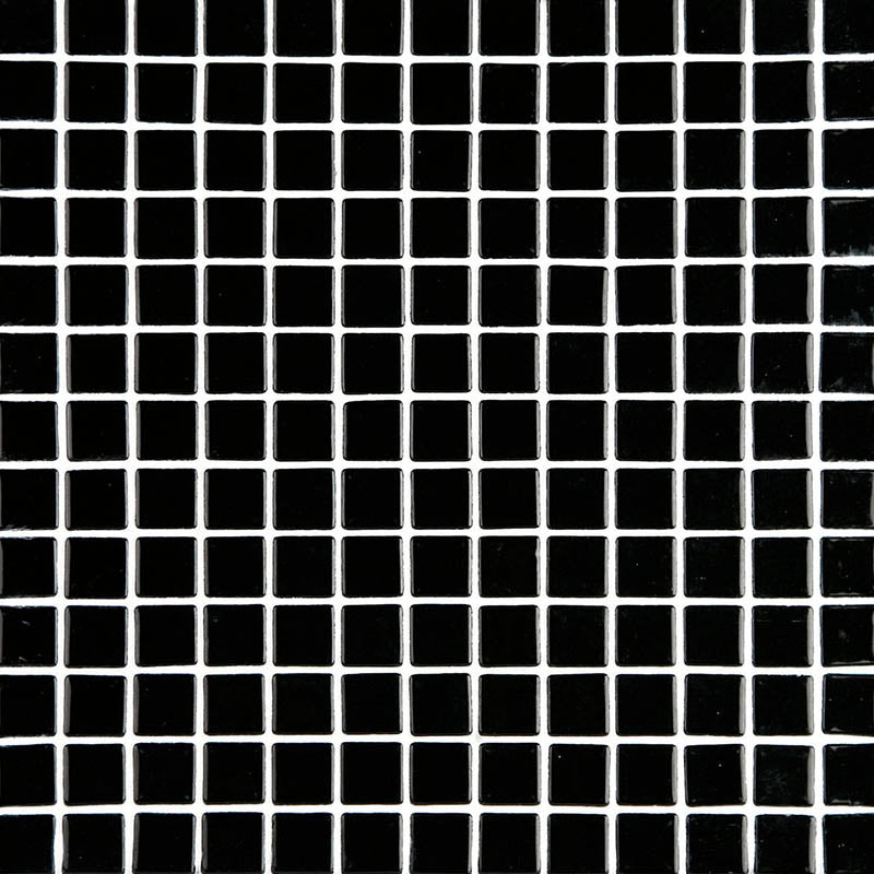Lisa 2530-D Black Glass Mosaic Pool Tile