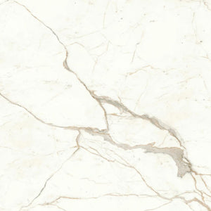 Calacatta Delicato Italian Porcelain