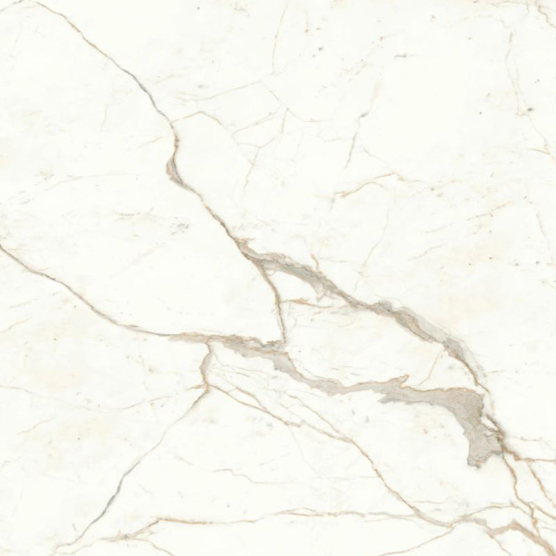 Calacatta Delicato Italian Porcelain