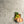 Ceppo Dorato Vitrified Italian Porcelain