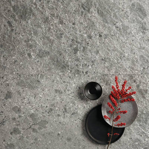 Ceppo Milano Vitrified Italian Porcelain - Stone and Tile Projects 