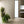 Cotto D'este Cluny Champagne Italian Porcelain