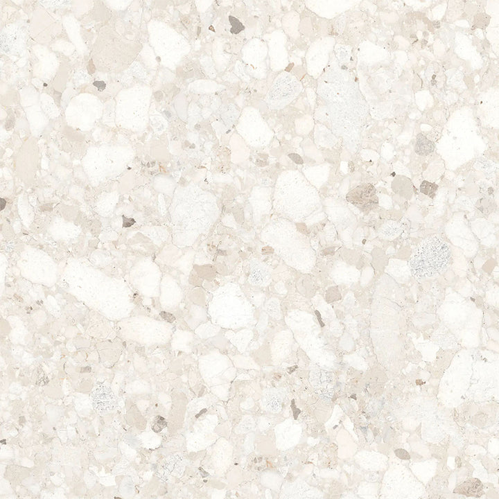 Genoa Ivory Coarse Grain Terrazzo Porcelain