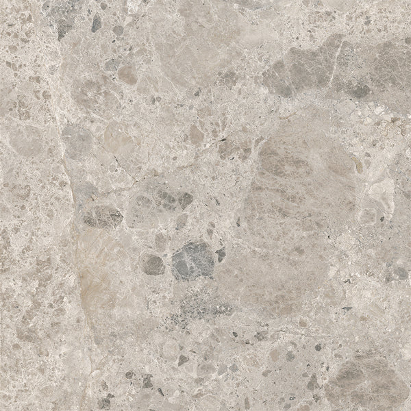 Vienna Gris Coarse Grain Terrazzo Porcelain