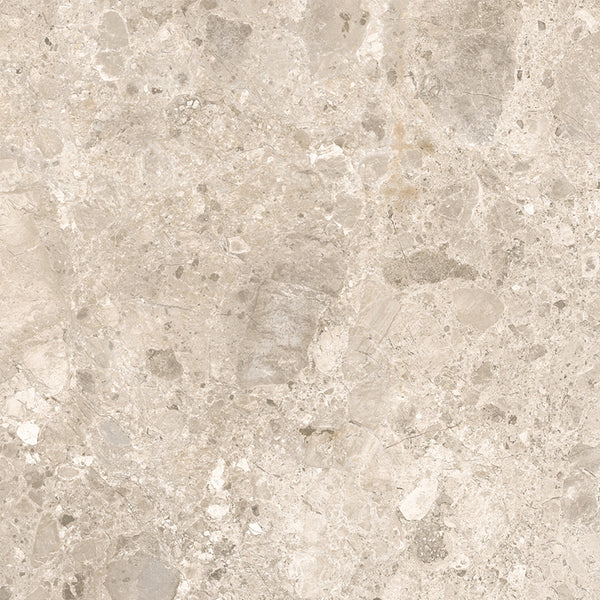 Vienna Beige Coarse Grain Terrazzo Porcelain